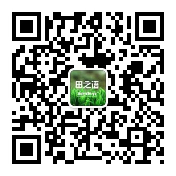 田之语